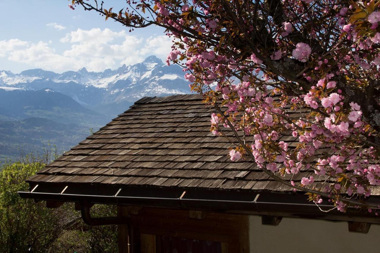 Chalet Cosy Proche Tramway Du Mont-Blanc Et Centre Villa Saint-Gervais-les-Bains Buitenkant foto